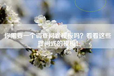 你需要一个调查问卷模板吗？看看这些提问式的模板！