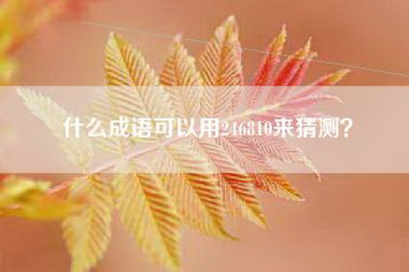 什么成语可以用246810来猜测？