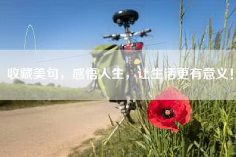 收藏美句，感悟人生，让生活更有意义！