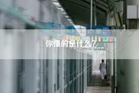你懂的是什么？