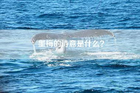 墨梅的诗意是什么？