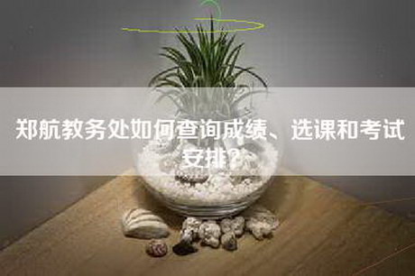 郑航教务处如何查询成绩、选课和考试安排？