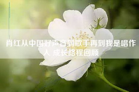 肖红从中国好声音到歌手再到我是唱作人 成长路程回顾