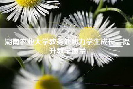 湖南农业大学教务处助力学生成长，提升教学质量