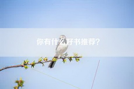 你有什么好书推荐？