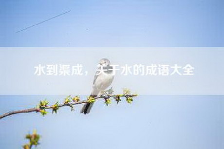 水到渠成，关于水的成语大全