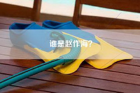 谁是赵作海？