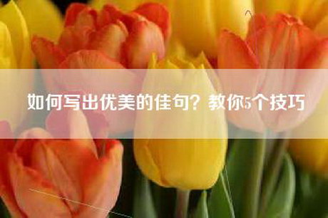 如何写出优美的佳句？教你5个技巧