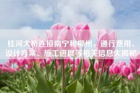 桂河大桥连接南宁和柳州，通行费用、设计方案、施工进展等相关信息大揭秘