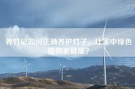 养竹记如何正确养护竹子，让家中绿色植物更健康？