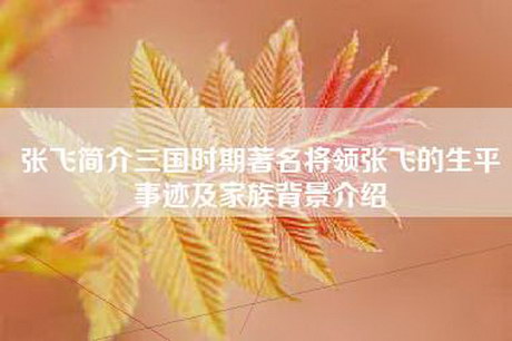 张飞简介三国时期著名将领张飞的生平事迹及家族背景介绍
