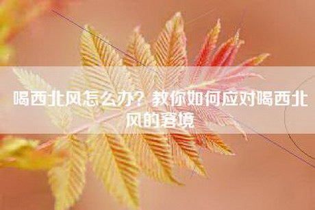 喝西北风怎么办？教你如何应对喝西北风的窘境