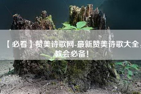 【必看】赞美诗歌网-最新赞美诗歌大全，教会必备！