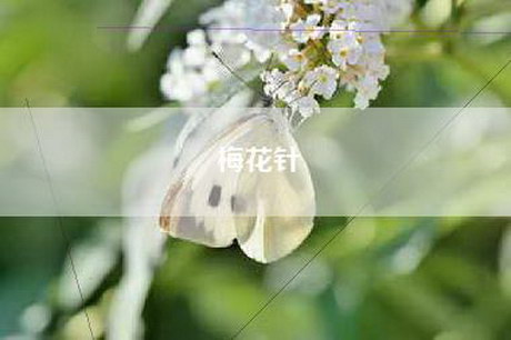 梅花针