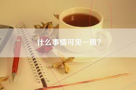 什么事情可见一斑？