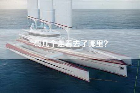 哥几个走着去了哪里？