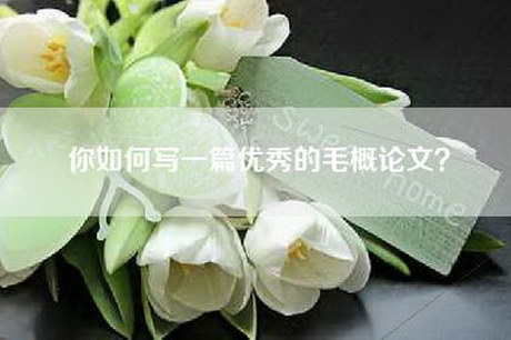 你如何写一篇优秀的毛概论文？