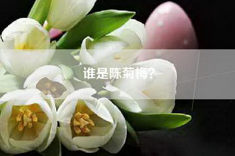 谁是陈菊梅？