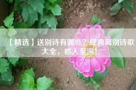 【精选】送别诗有哪些？经典离别诗歌大全，感人至深！
