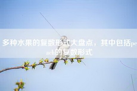 多种水果的复数形式大盘点，其中包括peach的复数形式