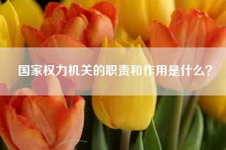 国家权力机关的职责和作用是什么？