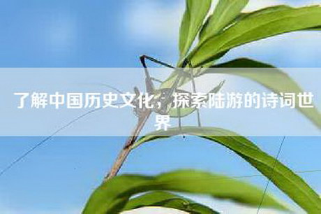了解中国历史文化，探索陆游的诗词世界