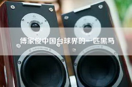 傅家俊中国台球界的一匹黑马