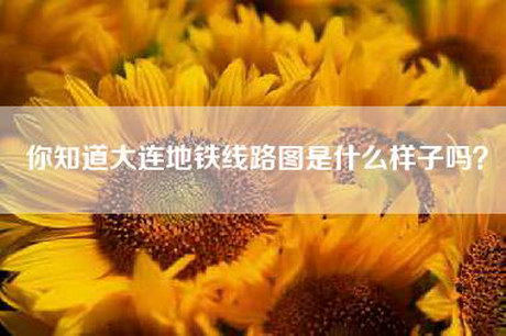 你知道大连地铁线路图是什么样子吗？