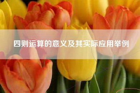 四则运算的意义及其实际应用举例