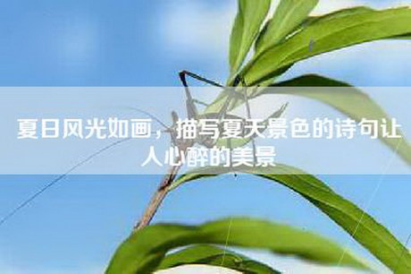 夏日风光如画，描写夏天景色的诗句让人心醉的美景