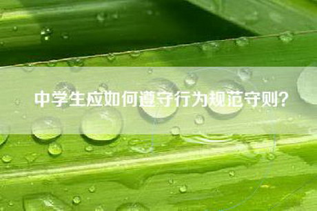 中学生应如何遵守行为规范守则？