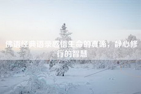 佛语经典语录感悟生命的真谛，静心修行的智慧