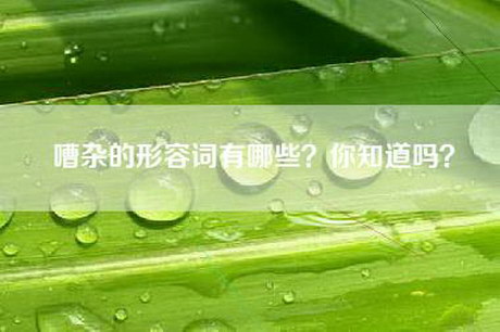 嘈杂的形容词有哪些？你知道吗？