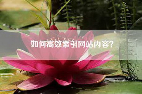 如何高效索引网站内容？