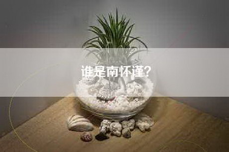 谁是南怀谨？
