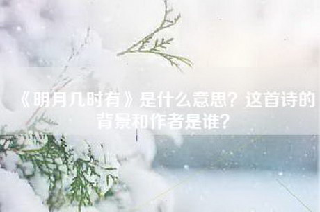 《明月几时有》是什么意思？这首诗的背景和作者是谁？