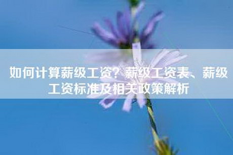 如何计算薪级工资？薪级工资表、薪级工资标准及相关政策解析