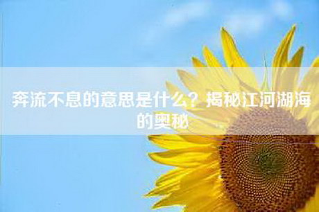奔流不息的意思是什么？揭秘江河湖海的奥秘