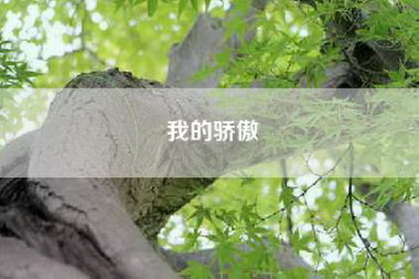 我的骄傲