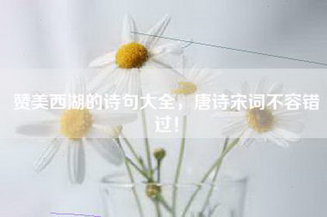 赞美西湖的诗句大全，唐诗宋词不容错过！