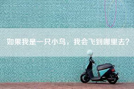 如果我是一只小鸟，我会飞到哪里去？