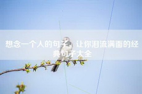 想念一个人的句子，让你泪流满面的经典句子大全