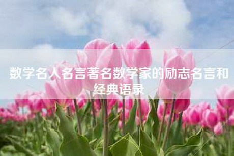 数学名人名言著名数学家的励志名言和经典语录