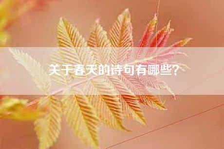 关于春天的诗句有哪些？