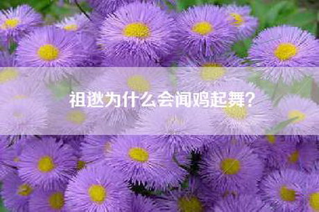 祖逖为什么会闻鸡起舞？