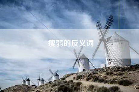 瘦弱的反义词