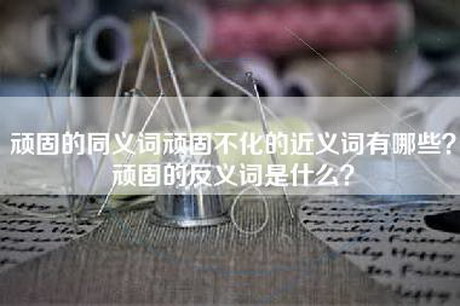 顽固的同义词顽固不化的近义词有哪些？顽固的反义词是什么？