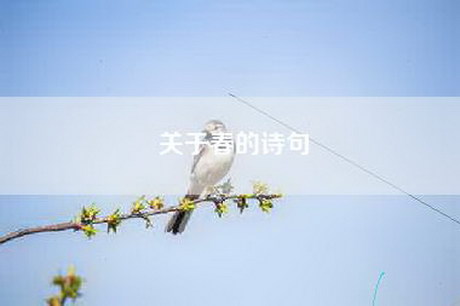关于春的诗句