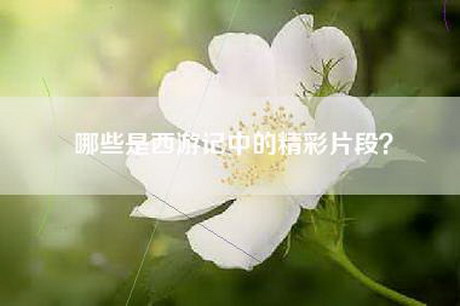 哪些是西游记中的精彩片段？