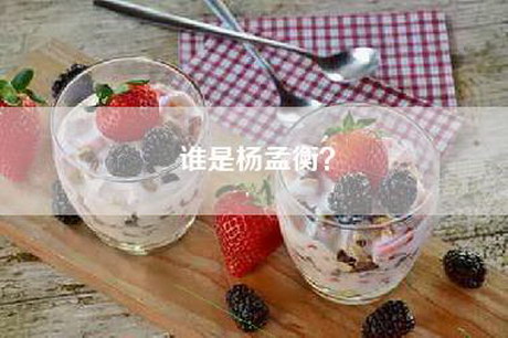 谁是杨孟衡？